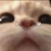 Gonegonegonegotgold (@aliucutee) Twitter profile photo Gonegonegonegotgold (@aliucutee) Twitter profile photo