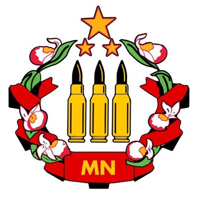 We are the Minnesota chapter of the Socialist Rifle Association, a multi-tendency, nationwide self-defense advocacy & education group. https://t.co/KClMTpHQ0g