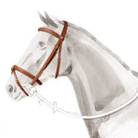لانا العبدالجبار (@lanajabbarr) 's Twitter Profile Photo لانا العبدالجبار (@lanajabbarr) 's Twitter Profile Photo
