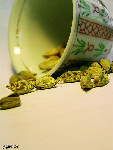 fares_q8e's profile picture. 