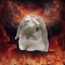 yoshi, mother of bunnies (@whotfisyoshi) Twitter profile photo yoshi, mother of bunnies (@whotfisyoshi) Twitter profile photo