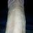 cumshow's profile image