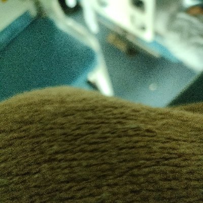 BJP4Bejing's profile picture. 