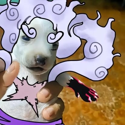 Carlosdamins's profile picture. 