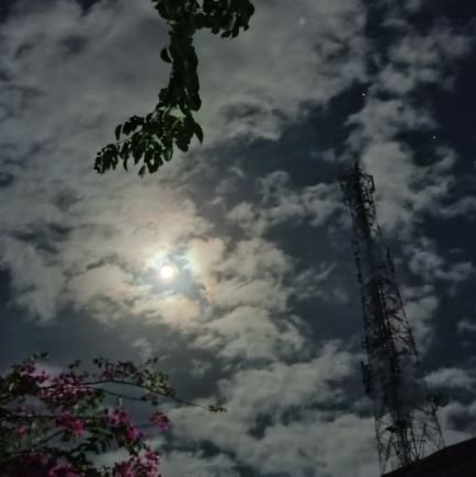 lun4recl's profile picture. 