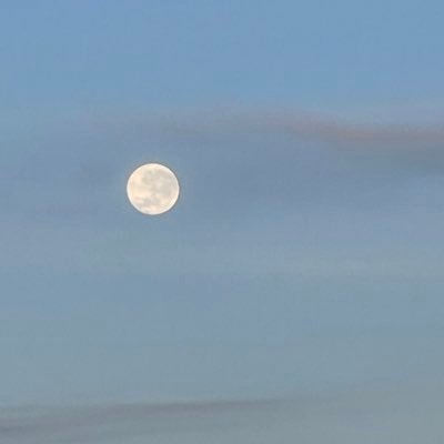 BenTaylor_2011's profile picture. 