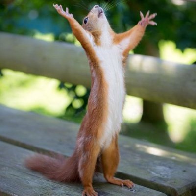 manofthedao's profile picture. Redemption.