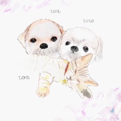 まゆさんのプロフィール画像