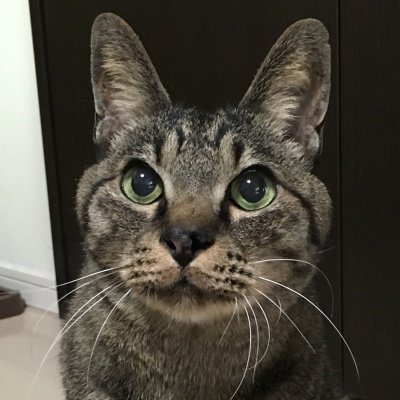 にかいどうさんのプロフィール画像
