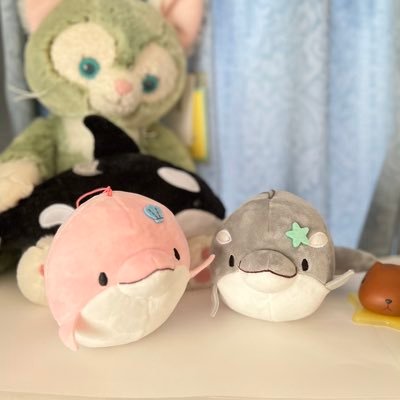 アシロさんのプロフィール画像