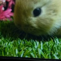 たけ (@arvxk5x2mrbpsjf) 's Twitter Profile