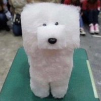 plonz (@_plonz) 's Twitter Profile
