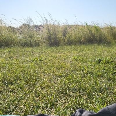 Bas439384215222's profile picture. Hot boy into sounding, peeholeplay, urethralplay, nippleplay, assplay. Love sounding in my car and outdoor. Like to watch me sounding in my car?