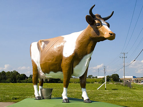 Bessie_the_Cow's profile picture. I am the most prominent resident of Janesville, WI. I’ve been here since 1966 and from where I stand I welcome everyone to the area!