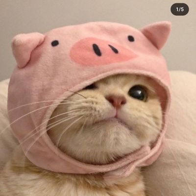 it3aeed's profile picture. وارونگی
- زندانی شماره الف