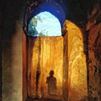 Sadia Akhtar (@sadia__akhtar) 's Twitter Profile