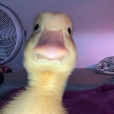 JUEGOASERDIOS's profile picture. NI LA MUERTE ME DETIENE Y SI ME SORPRENDE BIEN VENIDA SEA.(GF)🇲🇽