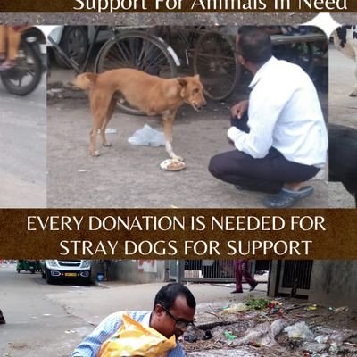 Dogs Club Of India is a non profit organization,found in the year 2017,Aims to build rehabilitation&hospital for stray dogs,
needs urgent funds US $2,50,000