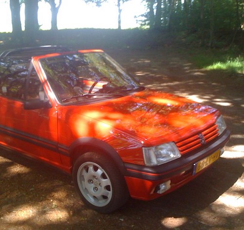 Skooystra's profile picture. Owner of Kooystra Professioneel