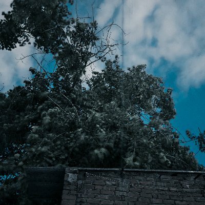 Hanju5678's profile picture. Love the nature 🙌 $PARAM  .NYAN🔫😼 ♣️ (🧙‍♂️,🧙‍♂️)  Gnoma  Anomage (🧙,🧙)