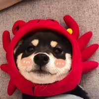 ห่าน•บินล์ (@yourmistletoexx) 's Twitter Profile Photo ห่าน•บินล์ (@yourmistletoexx) 's Twitter Profile Photo
