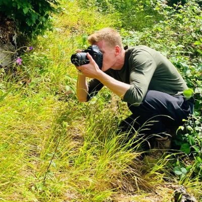 Wildlife photographer; conservationist and countryside-lover. Photographs represented by RSPB Images.