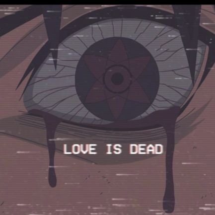 flower_hungry's profile picture. The taste, the touch, the way we love