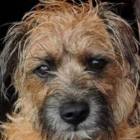 Robbie (@robmclovin1) 's Twitter Profile Photo Robbie (@robmclovin1) 's Twitter Profile Photo