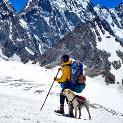 MuddasirWali's profile picture. Wali