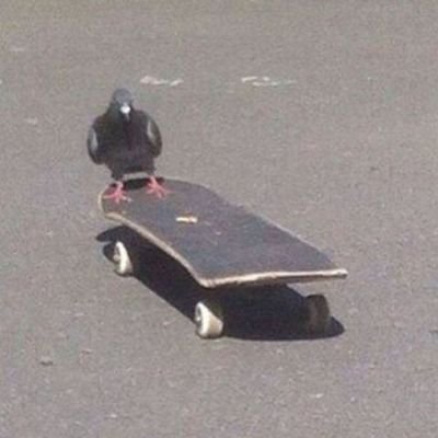 かれんさんのプロフィール画像