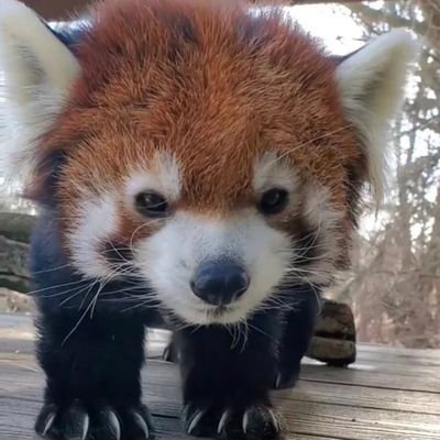 srf49570510's profile picture. 名前わ、龍章(ﾘｭｩｼｮｩ)。
あとわ、気になりが止まらなかたり、忘れたくなぃカタを、フォロしてます。
もしフォロされて、イヤ思たら、気軽にブロックしてくださぃ
(*￣ω￣)ﾉ
現在、勝手に推しさま探し中
( ,,-` ｡´-)