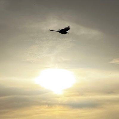 Sober_ism's profile picture. سلام