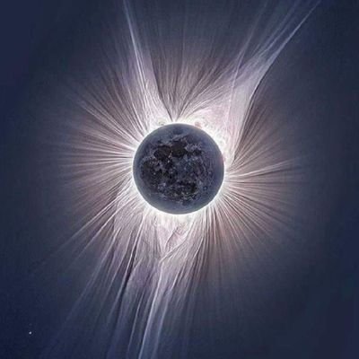 lcolado's profile picture. 