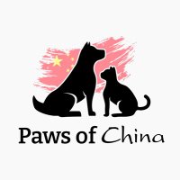 Paws of China(@PawsofChina) 's Twitter Profile Photo