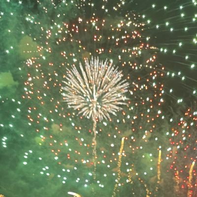 tutturtlekka's profile picture. 