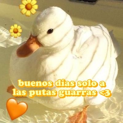 AlbertoGago_'s profile picture. asd