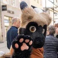 Videri Water-Icedragon (@videri_dragon) 's Twitter Profile