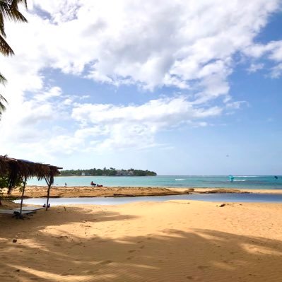 _AngieAng's profile picture. 