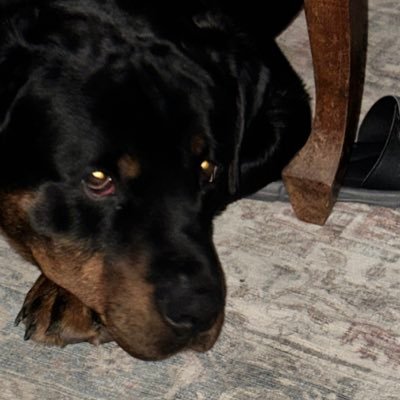 StefonickJim's profile picture. 