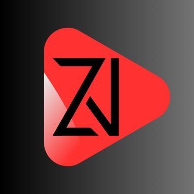 ZİPVİDSさんのプロフィール画像