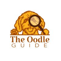 The Oodle Guide(@theoodleguide) 's Twitter Profile Photo