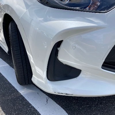 songbendin20440's profile picture. 