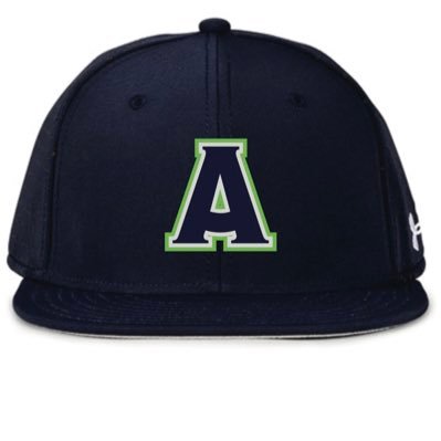 Boilermakersbaseball Profile