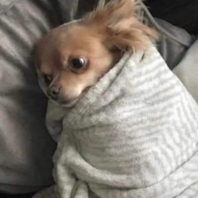 Achiaapapabinie's profile picture. 