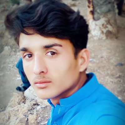 MHussain529778's profile picture. 