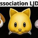 Asso_LJD's profile picture. Association de protection animale basée dans l'Oise (60) avec familles d'accueil bénévoles !