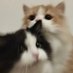 will (@0729will) Twitter profile photo will (@0729will) Twitter profile photo