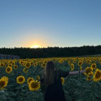 İrem 👀 (@iremdiyelimm) Twitter profile photo