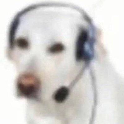 Computer programmer in Lua, C# and HTML | Owner of Constructor Games