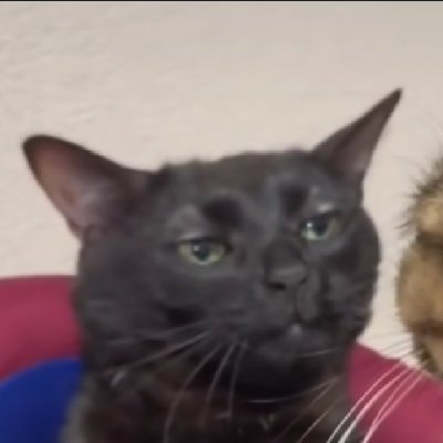 Kahkahkah69's profile picture. Akun gabut.